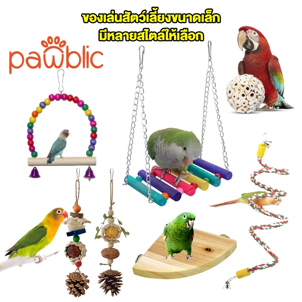 Pawblic ของเล่นนกแก้ว ตกแต่งกรง หัดกัดแทะ ชุดของเล่นนก