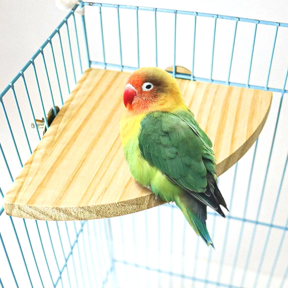 Pawblic ของเล่นนกแก้ว ตกแต่งกรง หัดกัดแทะ ชุดของเล่นนก thumbnail 9