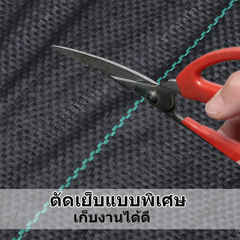 COD พลาสติกคลุมดิน (เกรด A)คลุมวัชพืช กำจัดหญ้า ป้องกันรังสีUVหมดปัญหาหญ้าขึ้นกวน พลาสติกคลุมหญ้า พลาสติกคลุมวัชพืช - รูปที่ 3