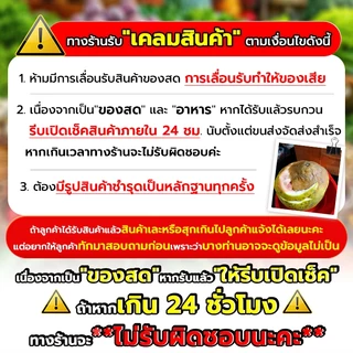 📌ส่งฟรี/มีไลฟ์📌 มันฝรั่งสด 1 กิโลกรัม คัดเกรดพิเศษ คัดคุณภาพอย่างดี cookingrun 📌
