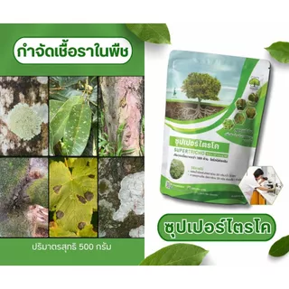 ซุปเปอร์ ไตรโคเดอร์ม่า ( ซอง1 / 500 กรัม ) กำจัดเชื้อรา สูตรเข้มข้น เชื้อ 2 เท่า แบบผง ปลอดภัย 100 %