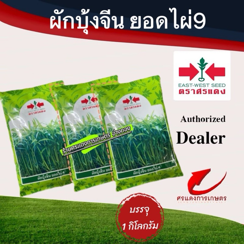 เมล็ดพันธุ์ผักบุ้งจีน ยอดไผ่9 ขนาดบรรจุ 1 กก.