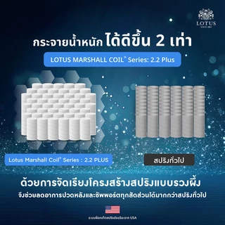 LOTUS ที่นอนสุญญากาศ พ็อกเก็ตสปริงเสริมยางพารา รุ่น Asleep ดีไซน์แบบไร้ขอบ ส่งฟรี