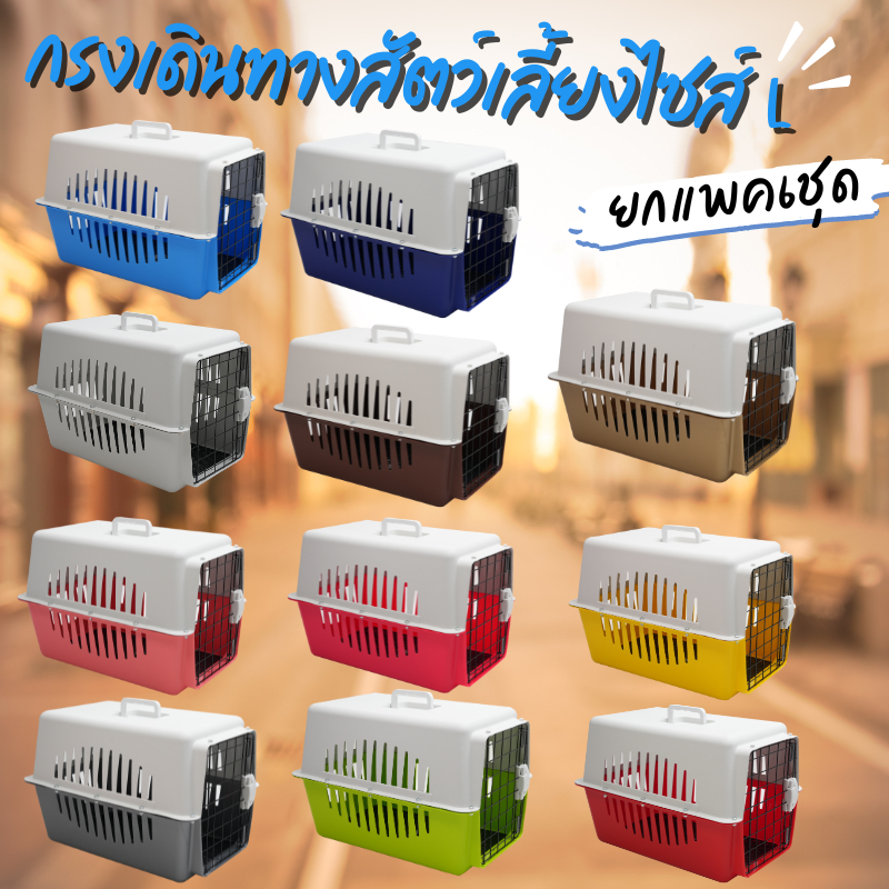 (6ใบ) กรงเดินทางไซส์ L คละสี(ไม่แถม) มีแผ่นปูรองกรงแถมทุกรุ่น เหมาะกับฟาร์มน้องหมาแมวหรือเพ็ทช๊อป - รูปที่ 2