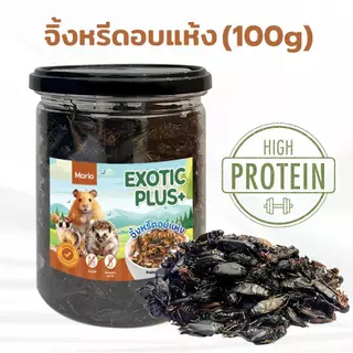 Morio แมลงอบแห้ง 480ml (ดักแด้ จิ้งหรีด สะดิ้ง) โปรตีนสูง สำหรับแฮมเตอร์ ชูการ์ไกลเดอร์ เม่นแคระ นก ปลา กระรอก ลิง