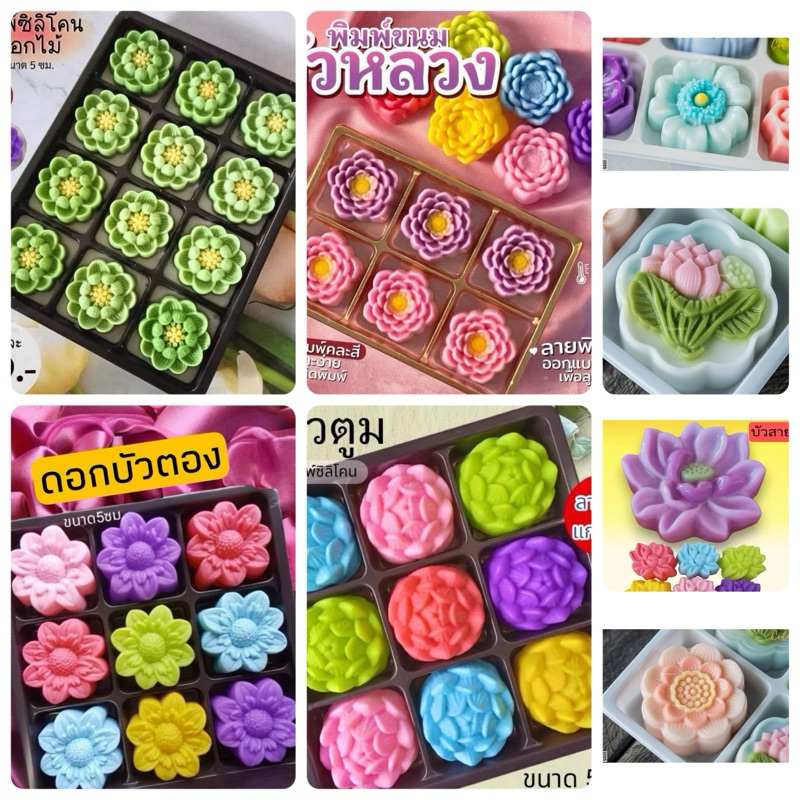 พิมพ์วุ้นขนมชั้นรวมดอกบัว🪷เนื้อมัน