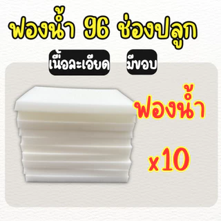 ฟองน้ำเพาะเมล็ด ฟองน้ำเพาะผักไฮโดรโปนิกส์ ผักสลัด ** 96 ช่องปลูก** เนื้อละเอียด แบบมีขอบ