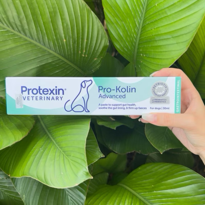 Protexin Veterinary Pro-Kolin Advanced 30 ML for dogs (support gastrointestinal health)