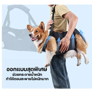 Doglemi ที่พยุงตัวสุนัข ช่วยยกทั้งตัว ฝึกกายภาพบำบัด ช่วยพยุงตัว ลดแรงกระแทกที่ข้อเข่า ข้อสะโพก