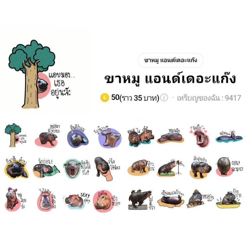 🦛 สติกเกอร์ไลน์ ฮิปโป ฮิปโปแคระ หมูตุ๋น ขาหมู หมูเด้ง คุณแฟลช แอนด์เดอะแก๊ง พร้อมส่ง ใช้ได้ถาวร