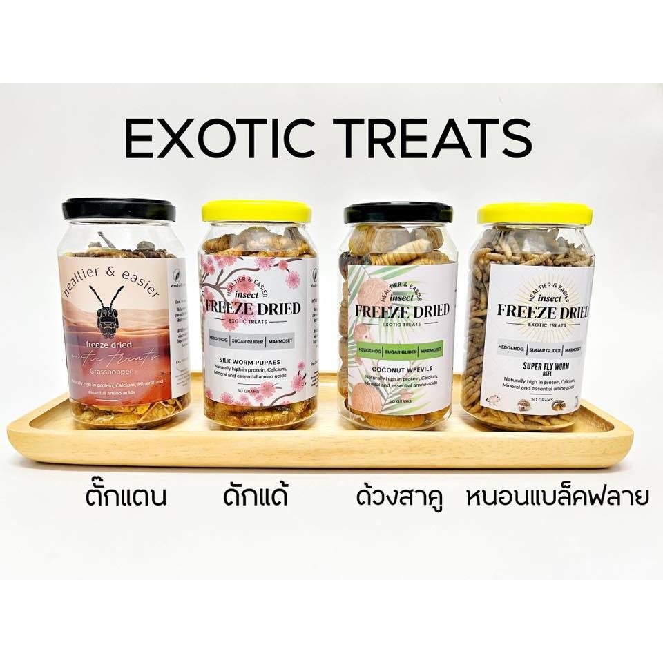Premuim Insect คัดสรรแมลงเกรดคุณภาพ สะอาด สะดวก ปลอดภัยกับสัตว์ทานแมลง ชูการ์ ชูการ์ำกลเดอร์ เม่นแคระ แฮมเตอร์ นก ลิง