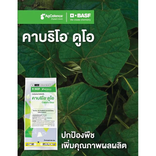 คาบริโอ® ดูโอ ไพราโคลสโตรบิน+เมทิแรม สารป้องกันกำจัดโรคพืช ได้ทั้งราชั้นสูงและช้ันต่ำ ปลอดภัยใช้ได้ทุกพืช คาบริโอ ดูโอ้