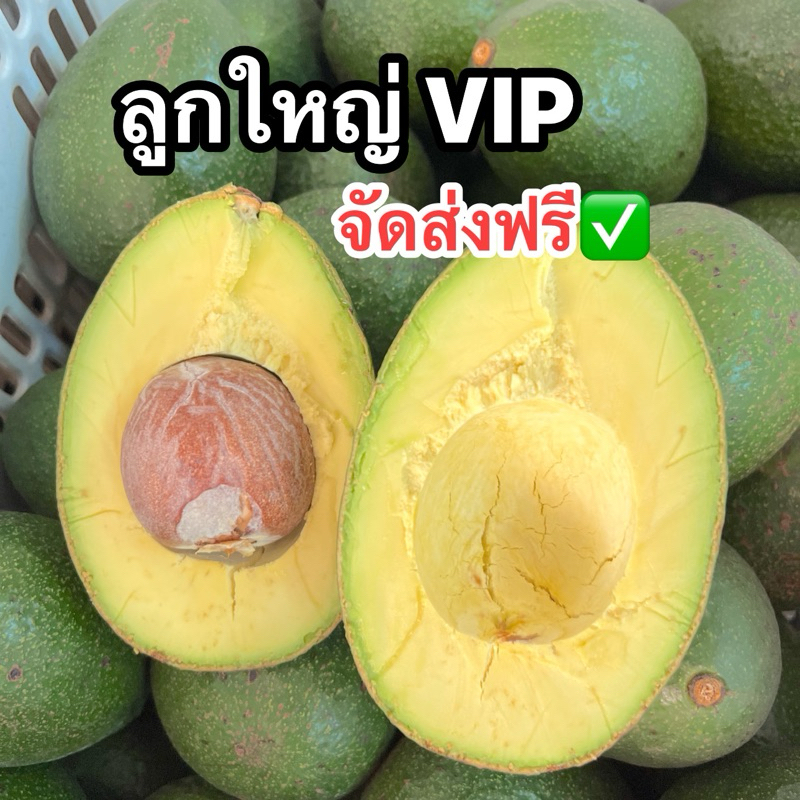 🥑 3โล ส่งฟรี✅  ลูกใหญ่ๆ จัมโบ้   อะโวคาโด้ เนื้อเหนียว มัน หนึบ  ประโยชน์เยอะ 🎉🎉
