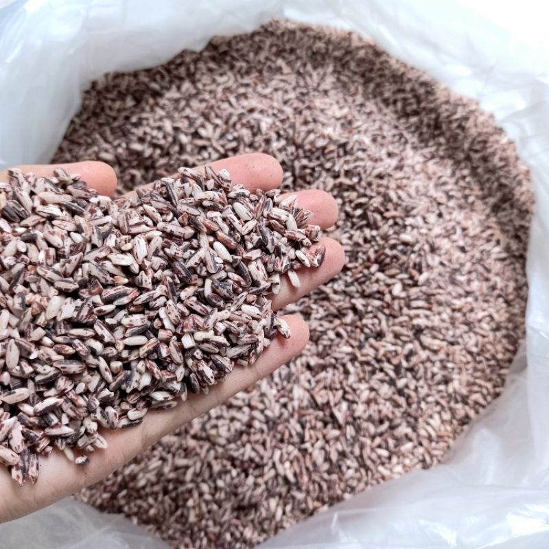 ข้าวเหนียวดำ เม็ดสั้น 1kg ข้าวก่ำเหนียว นุ่มหอมละมุน ตาสาม ยายนวล ปลูกเอง