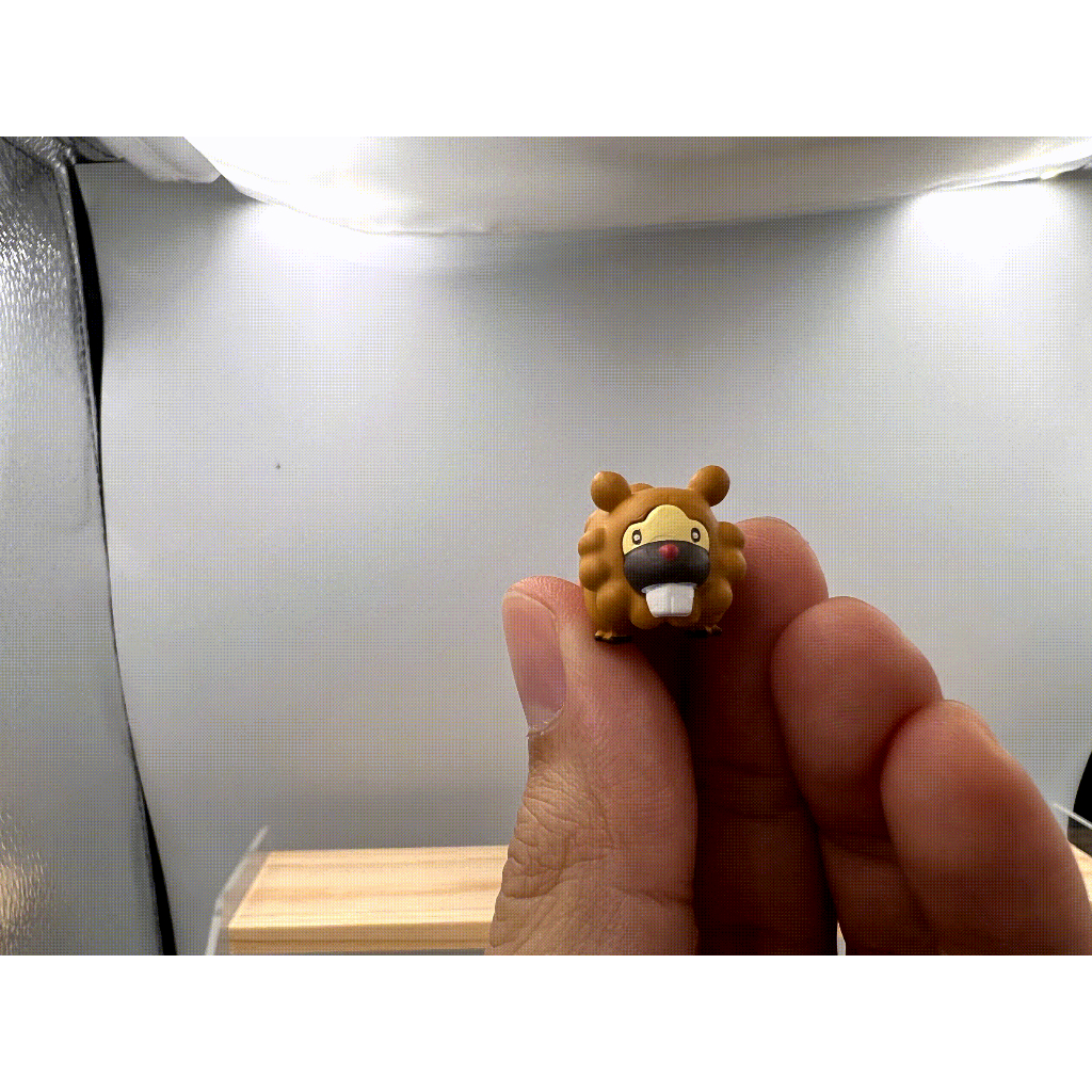 Pokemon Scale World : Bidoof (ของใหม่แกะแพคถ่ายรูป)