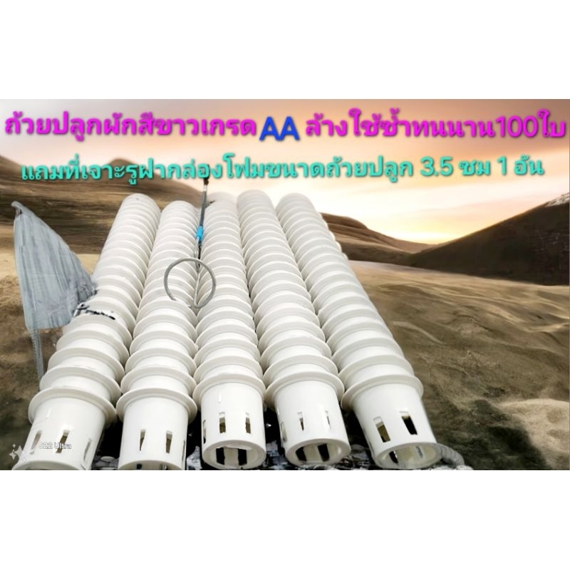 ถ้วยปลูกผักสีขาวจำนวน 100 ใบแถมฟรีที่เจาะรูสำหรับถ้วย 1 อัน
