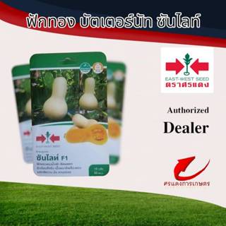 ผักซองศรแดงฟักทองซันไลท์ n