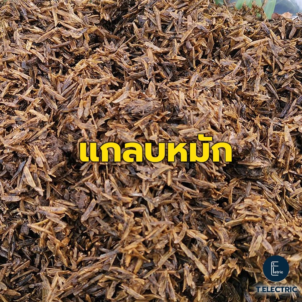 แกลบดิบหมัก 900g. พร้อมใช้ แกลบเก่า แกลบผสมดินปลูก ปุ๋ยผสมแกลบ ปุ๋ยธรรมชาติ แกลบผสม