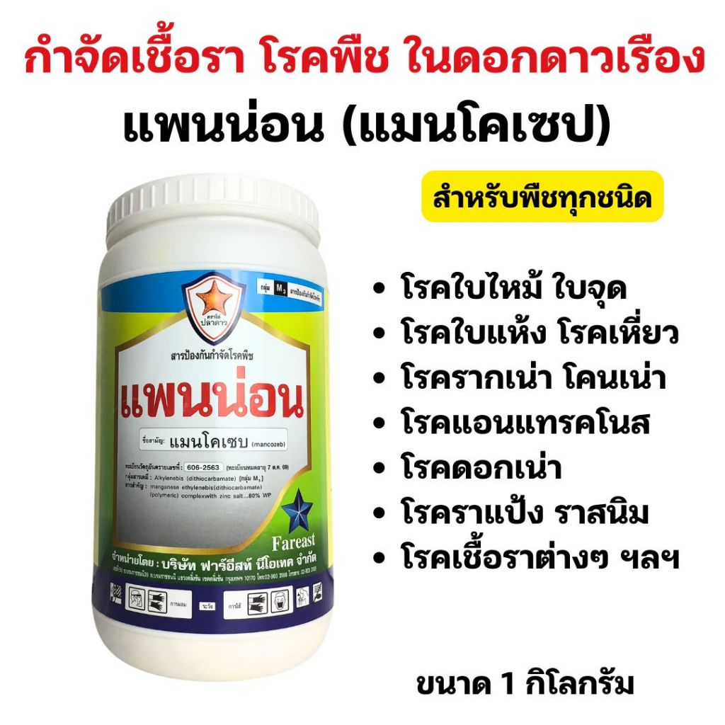 โรคใบไหม้ ใบจุด ดอกเน่า ในดอกดาวเรือง โรคพืชที่มีสาเหตุจากเชื้อรา กำจัดด้วยแพนน่อน ใช้ได้ทุกพืช