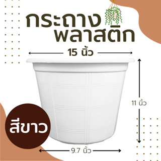 กระถางต้นไม้ พลาสติก กระถางปลูกแคคตัส  สีขาว 15 นิ้ว