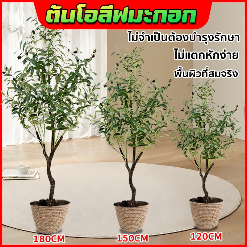 ต้นโอลีฟ ต้นมะกอกปลอม ลำต้นสีน้ำตาลเหมือนของจริง พืชจำลอง ยากที่จะบอกจริงจากเท็จ 120/150/180cm