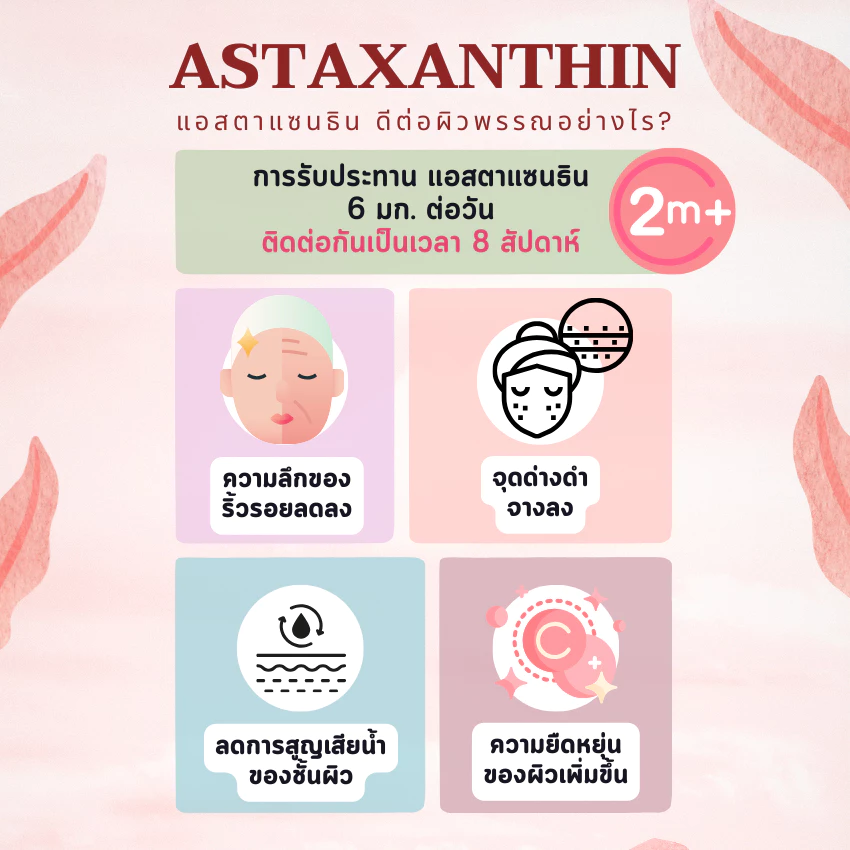 แอสตาแซนธิน 6mg Astaxanthin 6mg 30 แคปซูล thumbnail 4