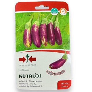 ศรแดง เมล็ดพันธุ์ มะเขือม่วง หยาดม่วง (150 เมล็ด)