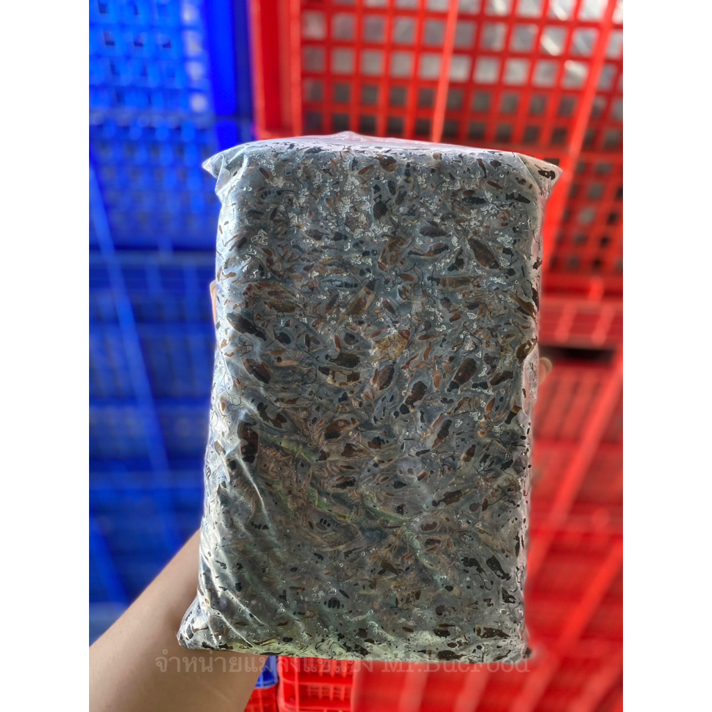 จิ้งหรีดแช่แข็ง แพ็คละ 1 กิโลกรัม (เลือก Seller Own Fleet = ส่งรถห้องเย็น)