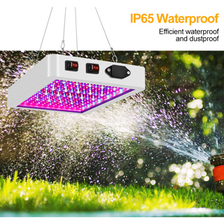 HIGH LIGHT Plant Grow Light หลอดไฟLED แบบเต็มสเปกตรัม ไฟเติมแผ่นควอนตัม เติบโตแสงเต็มสเปกตรัมเติบโตแสงสำหรับพืชบางพิเศษป