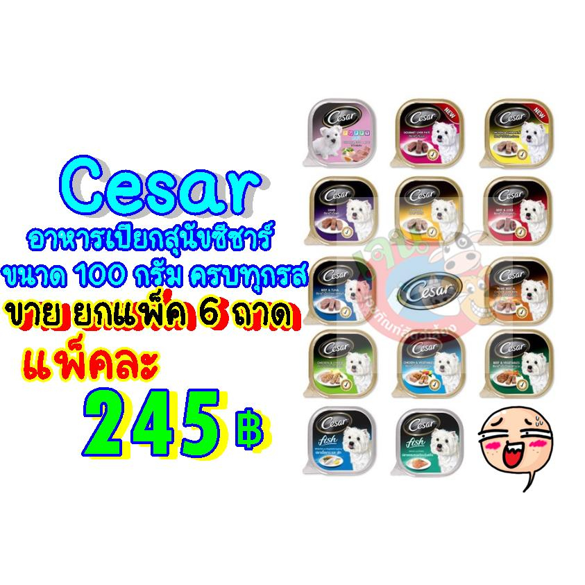 Cesarอาหารเปียกสุนัขซีซาร์ ขนาด 100 กรัม ครบทุกรส (ขายแพ็ค6ถาด)