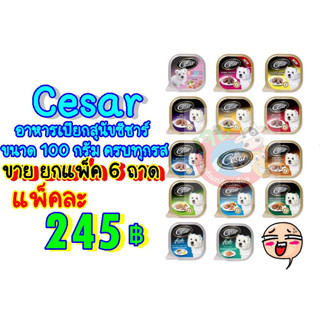 Cesarอาหารเปียกสุนัขซีซาร์ ขนาด 100 กรัม ครบทุกรส (ขายแพ็ค6ถาด)