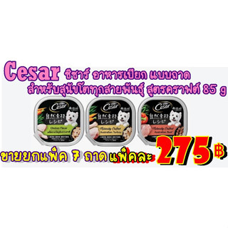 Cesar ซีซาร์ สูตรคราฟต์ อาหารเปียก แบบถาด สำหรับสุนัขโตทุกสายพันธุ์85 g