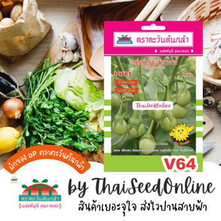 ADV ซฟ เมล็ดพันธุ์ มะเขือตอแหล เรยา ตราตะวันต้นกล้า V64