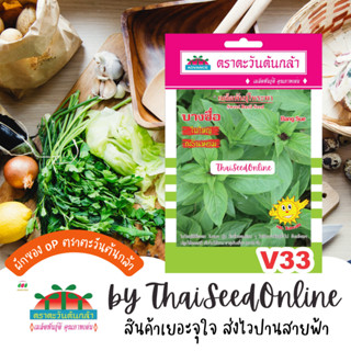 ADV ซฟ เมล็ดพันธุ์ โหระพา บางซื่อ ตราตะวันต้นกล้า V33