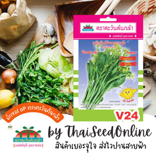 ADV ซฟ เมล็ดพันธุ์ กวางตุ้งดอก ป๊อปอาย ตราตะวันต้นกล้า V24