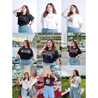 Chubby 💗 Baby tee Series (พร้อมส่ง) ทรงดีไซน์ ให้เข้ากับรูปร่างสาวอวบ