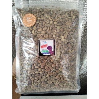 robusta coffee green m bean สารกาแฟโรบัสต้าชุมพรขนาดเล็ก1000g.