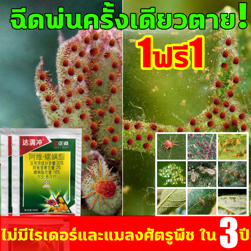 ฉีด1ครั้งตาย ยาไรแดง ไม่มีไรเดอร์และแมลงศัตรูพืชใน10ปี กําจัดไรแดง ยาฆ่าไรแดง ยากําจัดไรแดง รวดเร็ว ยาฆ่าไรไก่ ยาฆ่าแมลง