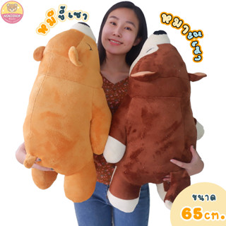 ตุ๊กตาผ้าขนนุ่ม หมา หมี  65 cm. ยัดใยสังเคราะห์ทั้งตัว แบบน่…