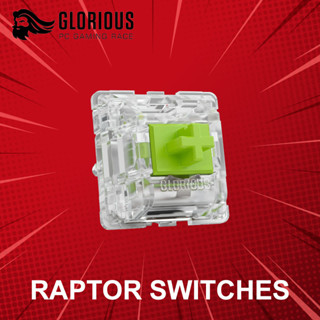 สวิตช์ Glorious Raptor Switches ประกันศูนย์ 1 ปี