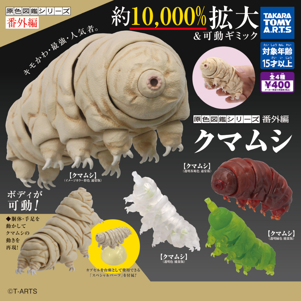 (เพิ่มขาวใสพร้อมส่ง) กาชาปองหมีน้ำทาร์ดิกราดา Gashapon Tomy Ikimono Encyclopedia Advance Tardigrades