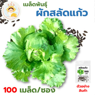 *ส่งด่วน* เมล็ดพันธุ์ ผักสลัดแก้ว Iceberg Lettuce Seed สลัดแก้ว ปลูกผัก เมล็ดผัก เมล็ดพืช [1 ซอง 100 เมล็ด]