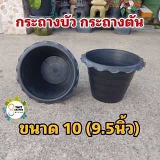 กระถางบัว กระถางตัน // กระถางปลูกบัว กระถางพลาสติก กระถางเกษตร