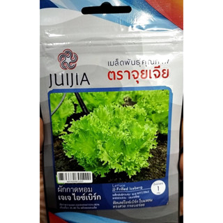 เมล็ดพันธุ์ ผักกาดหอม🍀ผักสลัด 🥬ฟิลไอซ์🌹เจเจ ไอซ์เบิร์ก🌱บรรจุประมาณ 400 เมล็ด