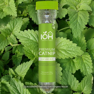 IOH PREMIUM CATNIP - LEAF AND BUD - แคทนิป กัญชาแมวพรีเมี่ยม สายพันธุ์ Nepeta Cataria นำเข้าจาก USA