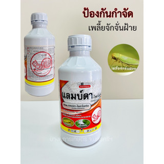 แลมบ์ดา-ไซฮาโลทริน 2.5 ตรากระรอก กำจัดเพลี้ยจักจั่นฝ้าย ยาฆ่าแมลง ขนาด 1ลิตร