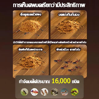 🐜ไม่มีมด100ปี💯ยาฆ่ามด ยาฆ่ามดตายยกรัง ยาฆ่ามดคันไฟ ยากำจัดมด 50g ไม่เป็นอันตรายต่อคน อัตราตาย 200%