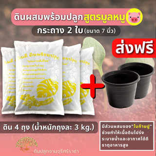 (ส่งฟรี)ดินผสมใบก้ามปูสูตรขี้หมูบด 4 ถุง(นน.3 kg./ถุง)+กระถางสีดำ 2 ใบ(ขนาด 7 นิ้ว) (เกาะต่างๆสั่งซื้อขั้นต่ำ 5 รายการ)