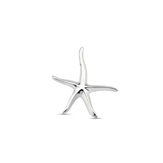 Silver starfish pendant - a symbol of good luck/จี้เงินปลาดาว - สัญลักษณ์แห่งความโชคดี