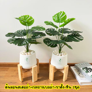 (🔥ส่งด่วน) 1แถม1 ต้นไม้ปลอม ความสูง 40-50 cm. แต่งบ้านพร้อมกระถางใครไม่มีเวลาดูแล ต้องโดนตกนะจ๊ะ ฟรีหินโรย!!